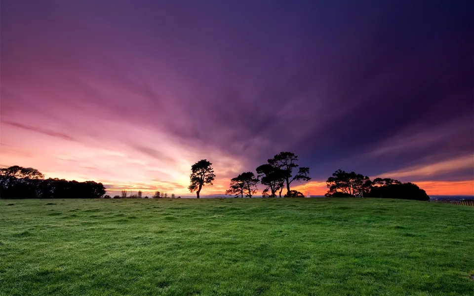 A vibrant sunrise paints the sky with purple, pink, and orange hues over silhouetted trees and a green grassy field.