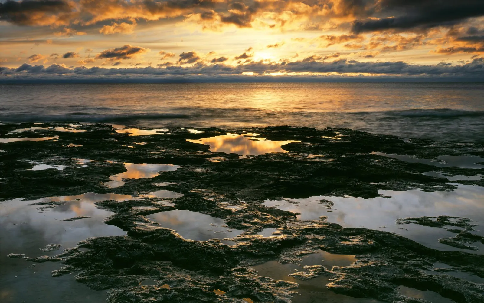 A rocky shoreline with tide pools reflecting a golden sunrise sky.