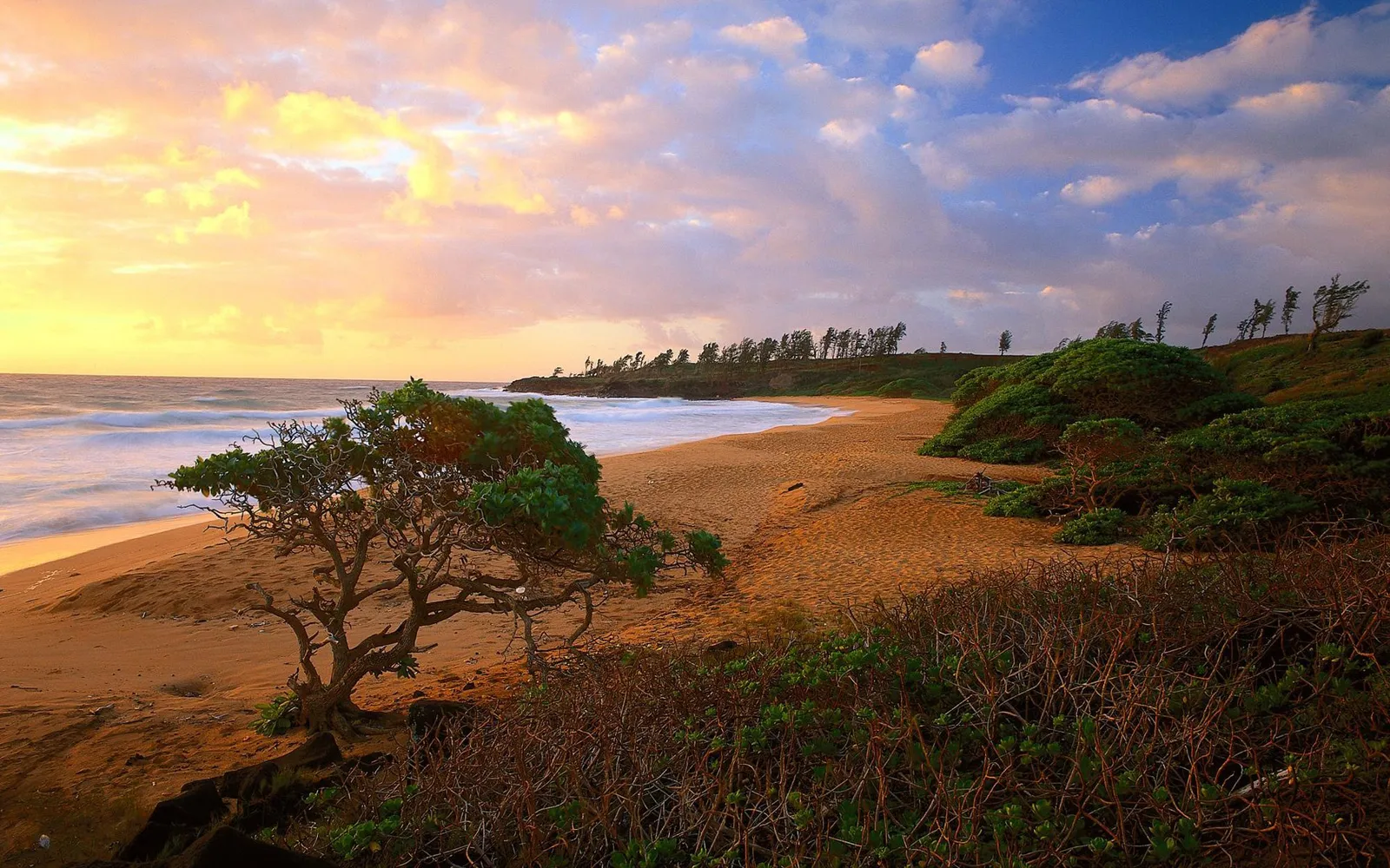 A scenic beach at sunrise with golden light illuminating the sand and sky.