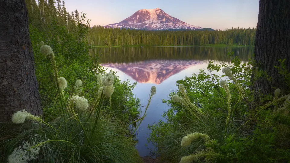 A snow-capped mountain reflected in a calm lake at sunrise, with wildflowers in the foreground.