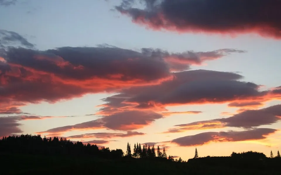 Dramatic clouds in shades of pink and orange light up the sky above a dark, silhouetted forest.