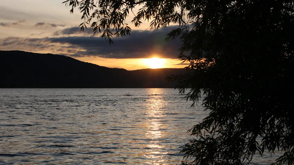 A sunset's golden light shimmers on the water, with dark tree branches in the foreground.
