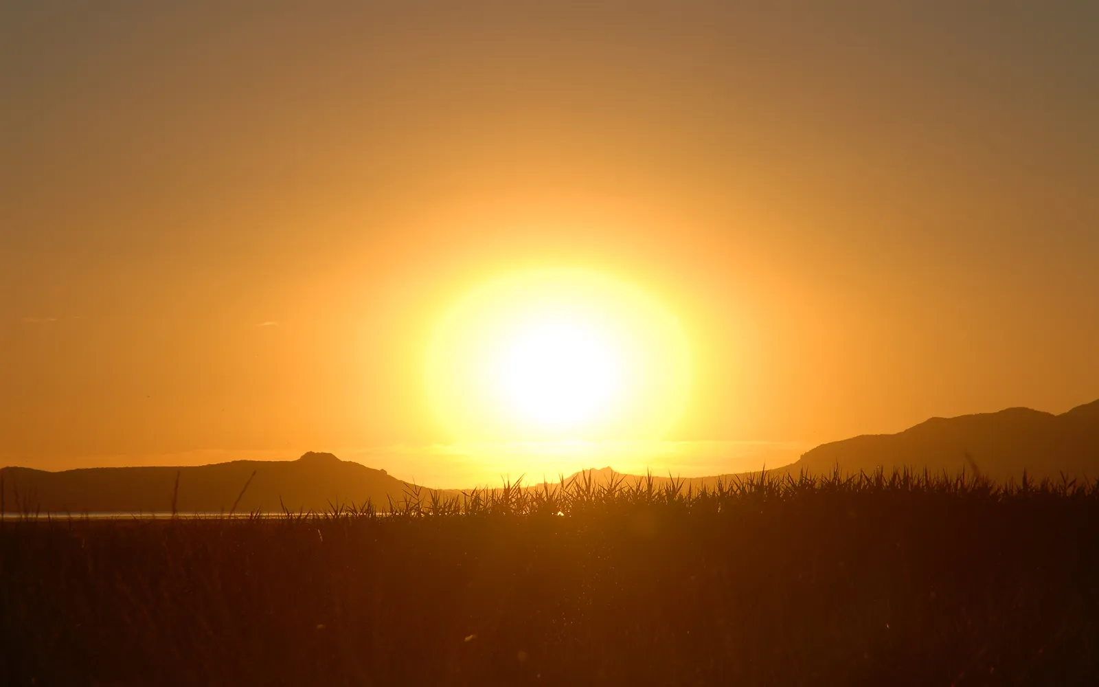 A bright, glowing sun sets behind silhouetted hills, casting a warm golden light over a foreground of grass.