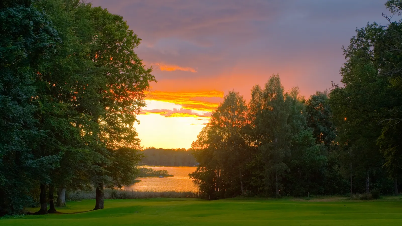 A vibrant sunset casts orange and yellow light across a calm lake, framed by dark trees and a green field.