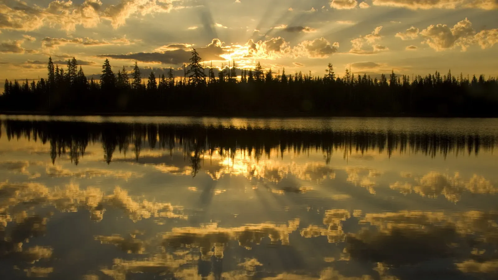 Sunbeams radiate from behind clouds over a silhouetted treeline reflected in a calm lake.
