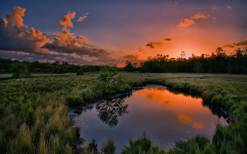 A vibrant sunset casts orange and pink hues across the sky, reflected in a calm marsh pond surrounded by tall grasses.