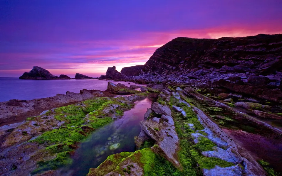 A dramatic sunset with purple and pink hues over a rocky coastline covered in vibrant green moss.