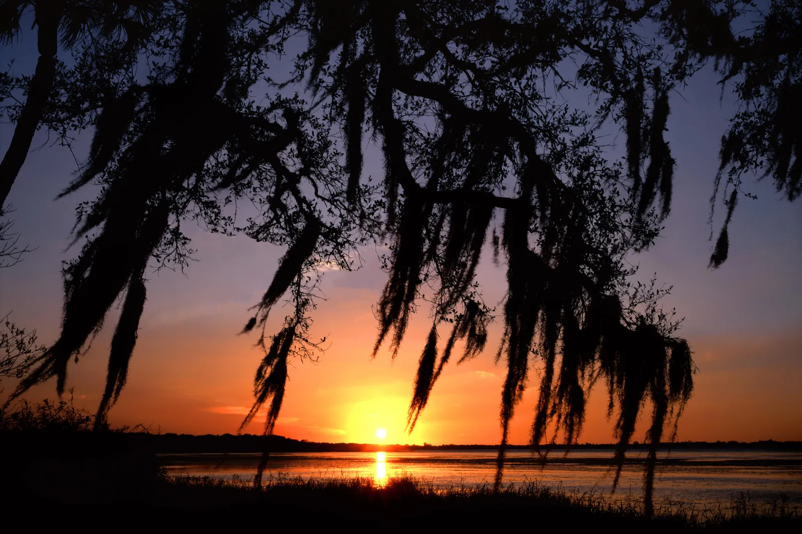 Silhouetted trees with Spanish moss hang over a river during a vibrant sunset.