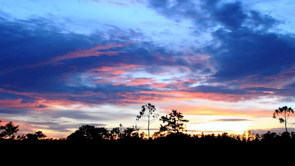 A colorful sunset with pink and orange clouds against a deep blue sky, silhouetting a line of trees.