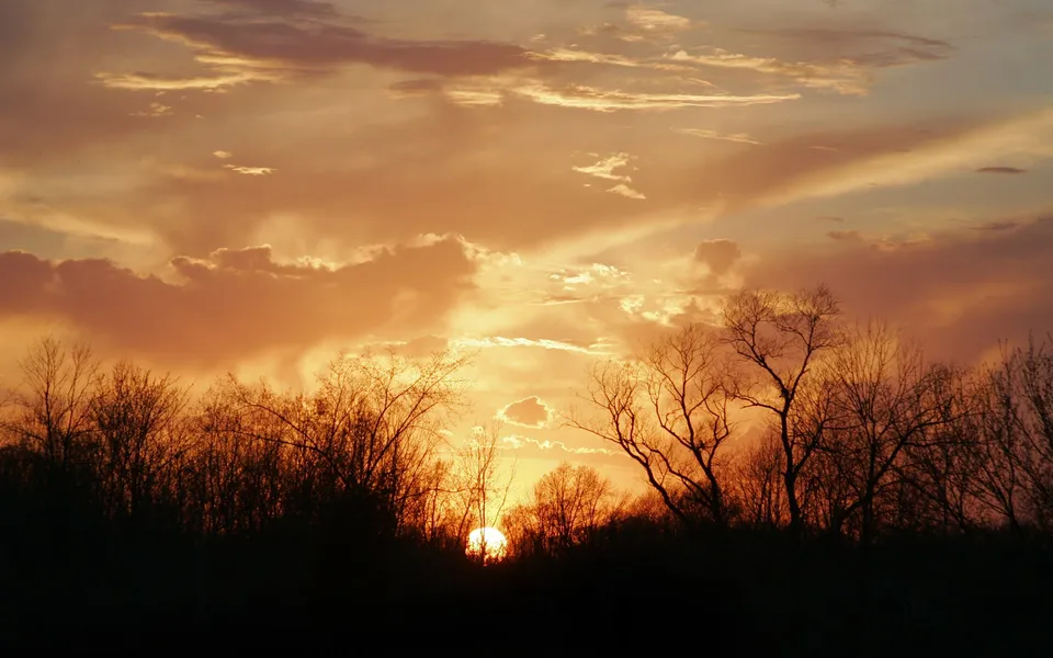 The sun sets behind a dense line of silhouetted trees, casting a warm orange glow across the sky.