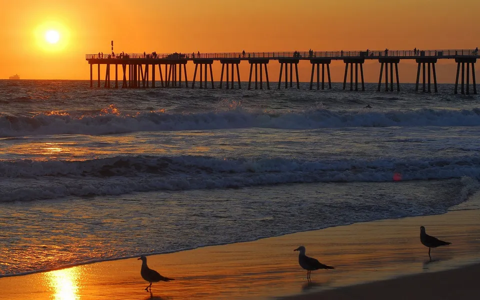 A pier stretches over the ocean at sunset, with waves crashing on the shore and seagulls walking on the wet sand.