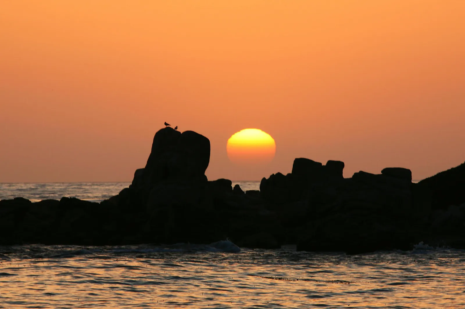 A vibrant orange sunset over the ocean, with silhouetted rocks and two birds in the foreground.