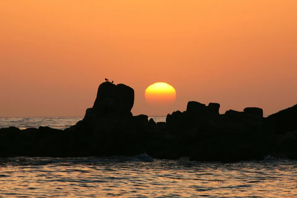 A vibrant orange sunset over the ocean, with silhouetted rocks and two birds in the foreground.