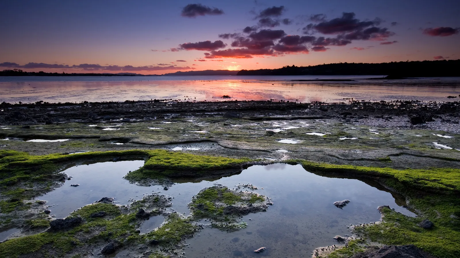 A vibrant sunset over a calm sea, with moss-covered rocks and tide pools in the foreground.