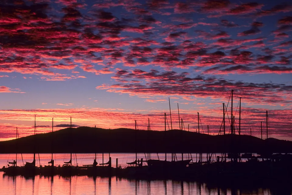 Silhouettes of sailboats in a marina against a vibrant sunset sky with pink and blue clouds.