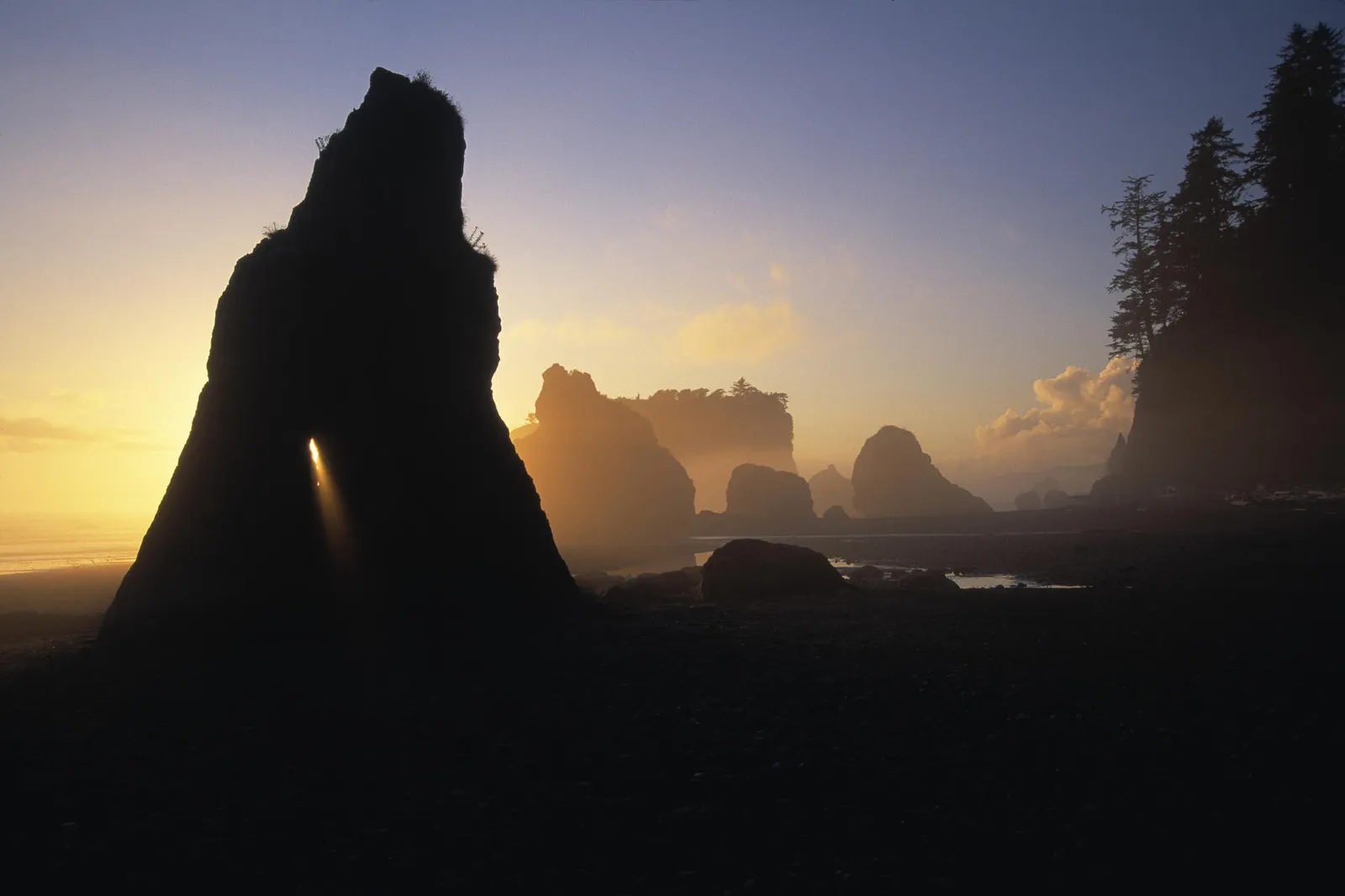 A dramatic sea stack with an arch is silhouetted against a golden sunset sky, with other sea stacks in the background.