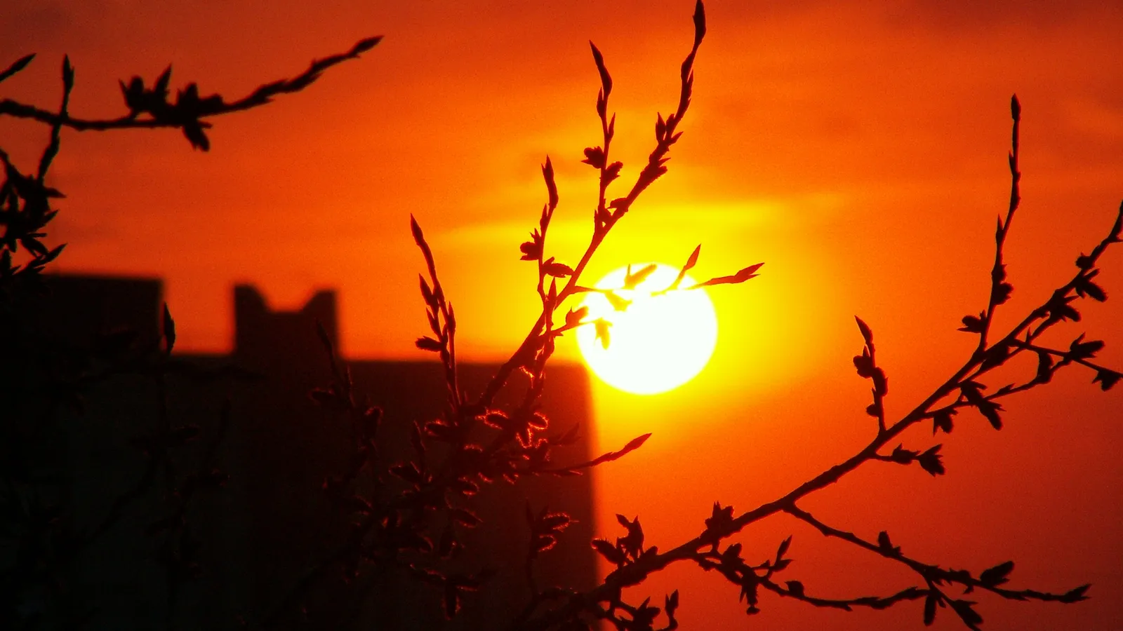 A bright sun sets behind silhouetted buildings and tree branches against a vibrant orange sky.