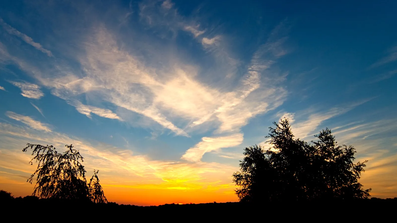 A vibrant sunset sky with wispy clouds, silhouetting two trees and a distant horizon.
