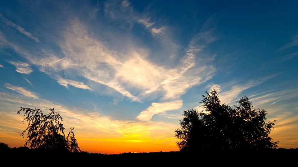 A vibrant sunset sky with wispy clouds, silhouetting two trees and a distant horizon.