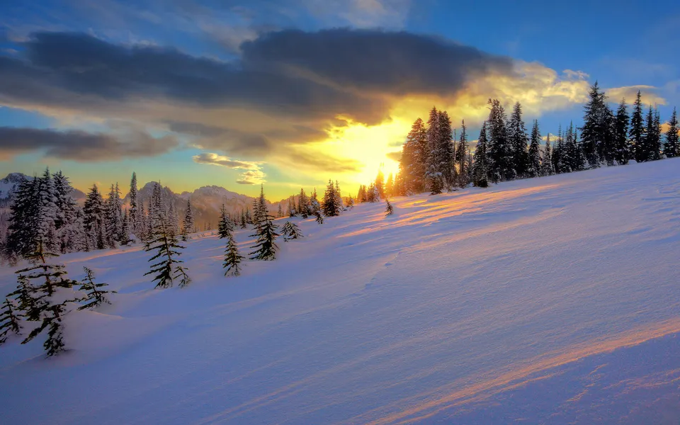 A vibrant sunset casts golden light across a snow-covered mountain slope with pine trees.