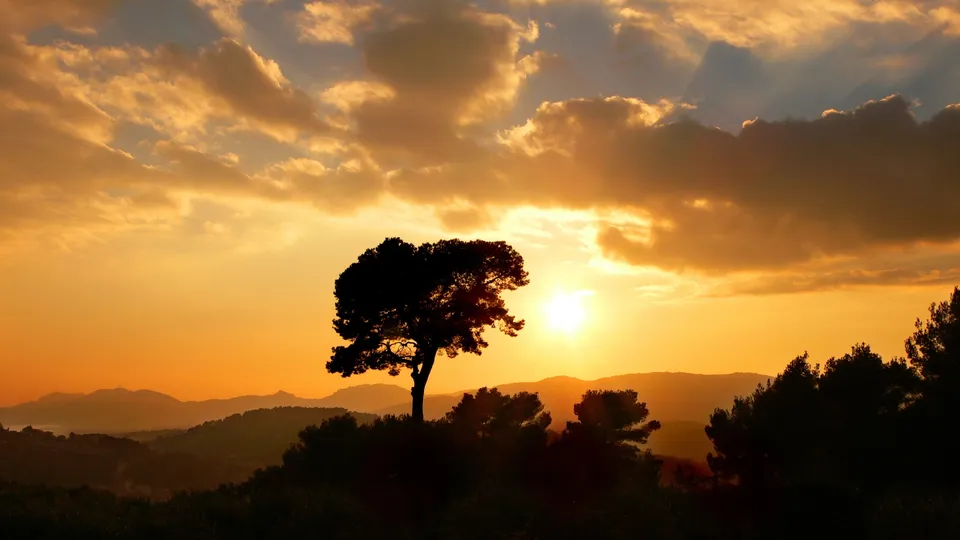 A lone tree is silhouetted against a vibrant orange and yellow sunset sky with dramatic clouds.