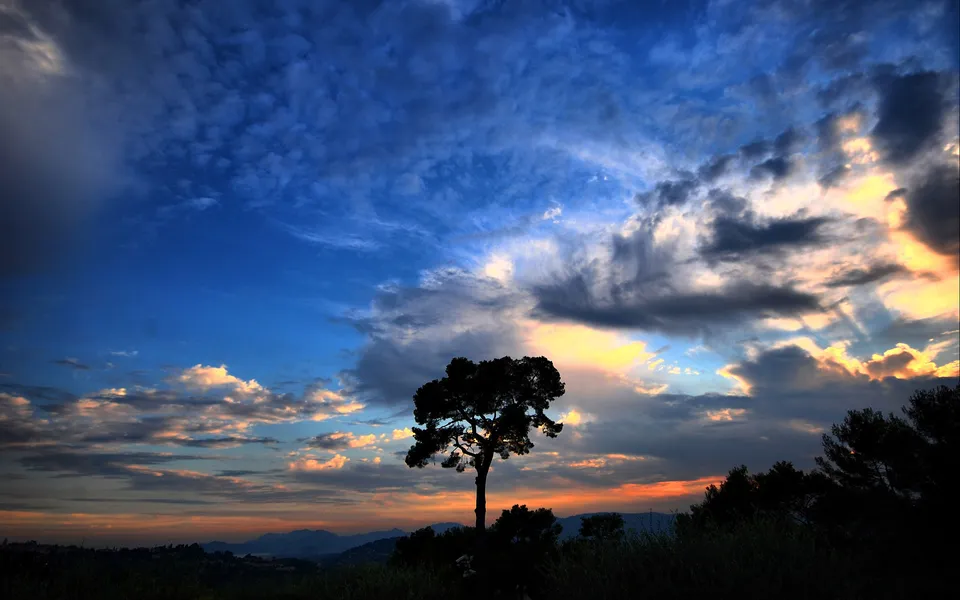 A lone tree is silhouetted against a dramatic sky with colorful clouds at sunset.