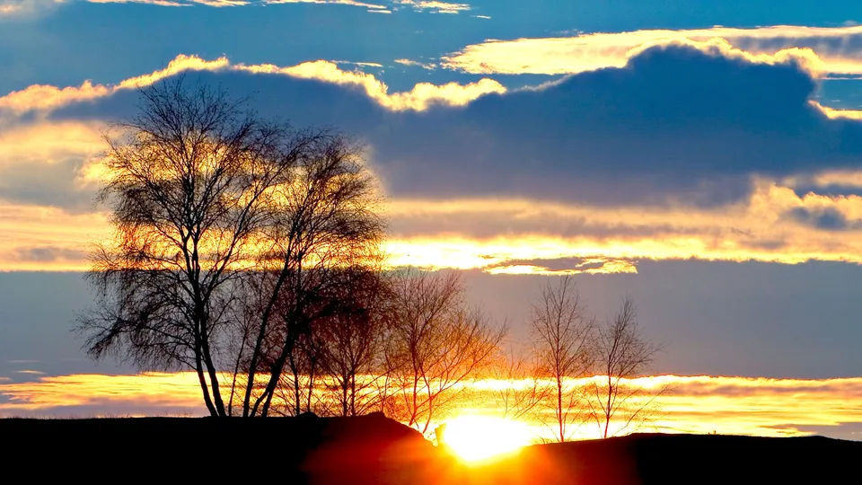 Silhouetted bare trees stand against a vibrant sunset sky with golden clouds.