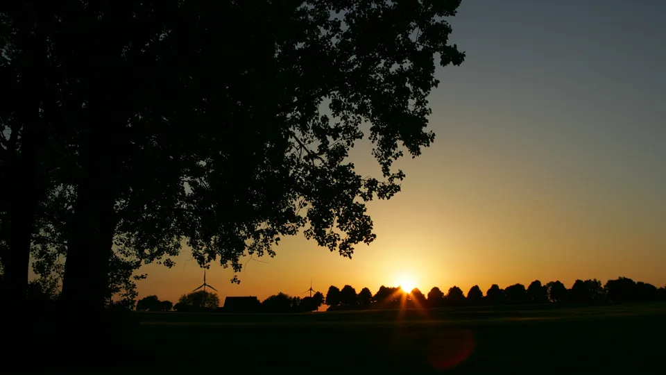 A silhouette of trees and a wind turbine against a bright orange and yellow sunset.