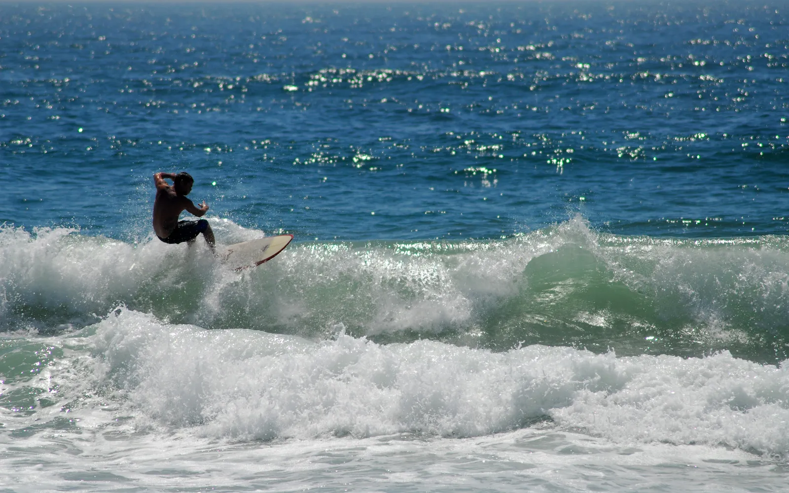 A surfer rides a wave with the blue ocean and sparkling water in the background.