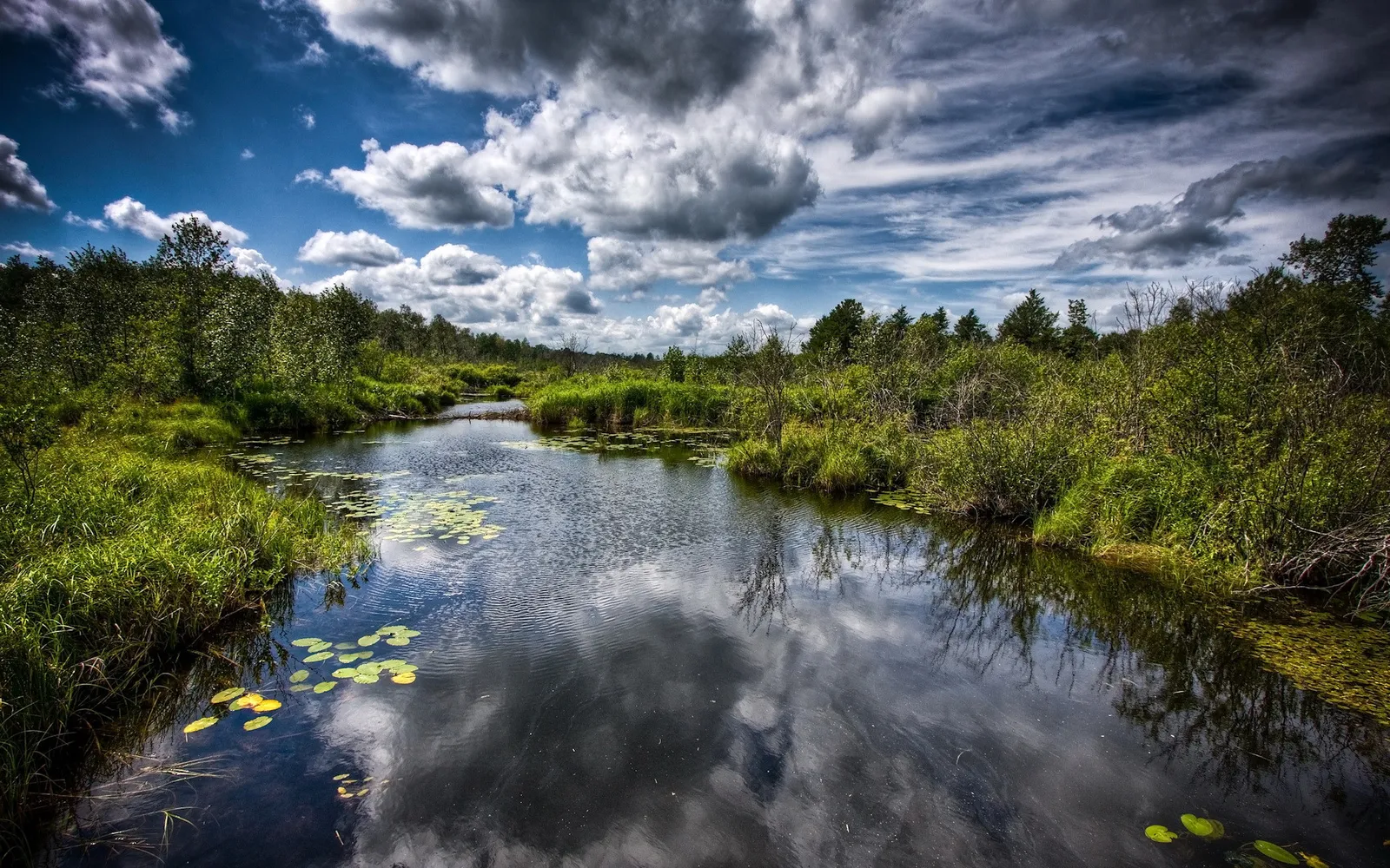 A winding river flows through lush green vegetation under a dramatic sky with white clouds.