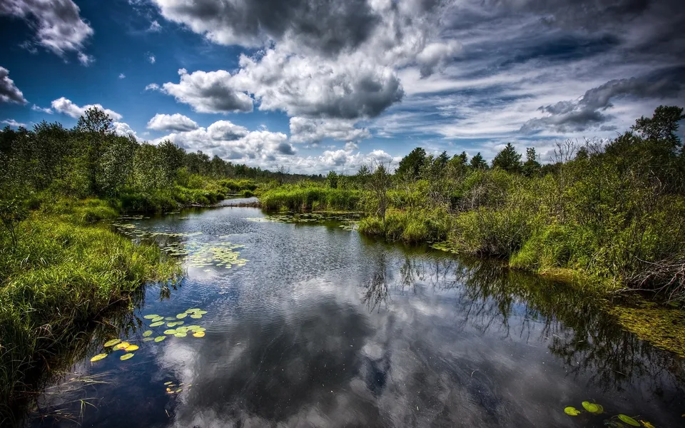 A winding river flows through lush green vegetation under a dramatic sky with white clouds.