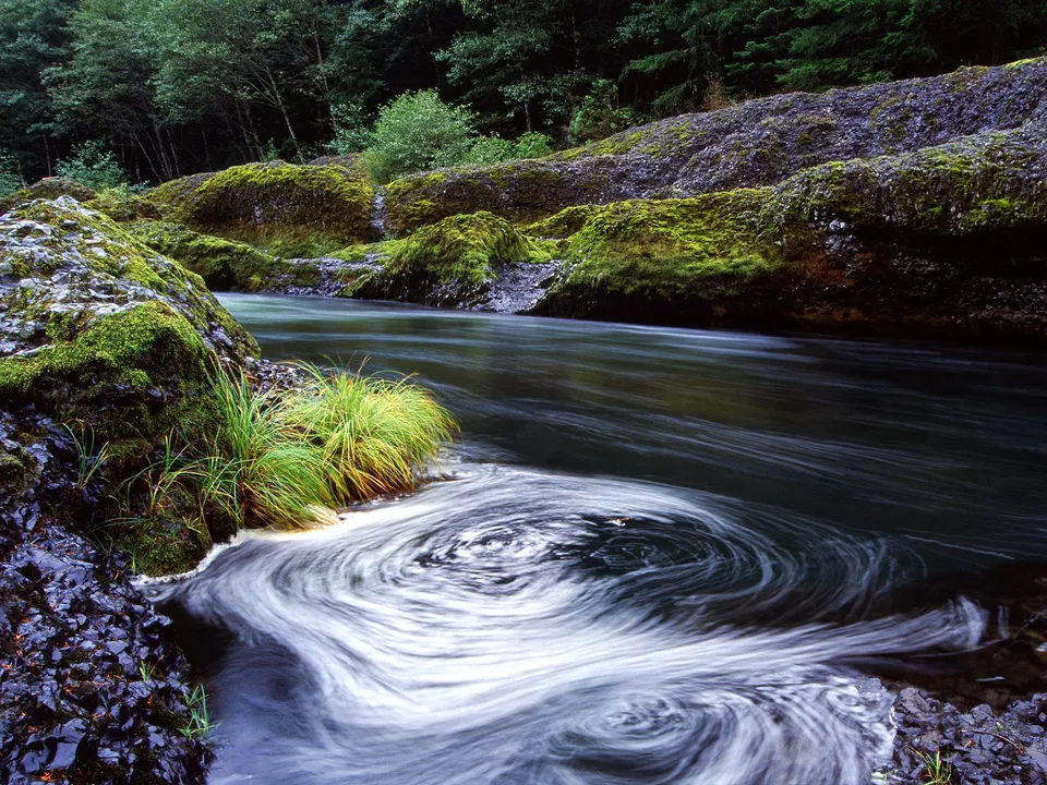 A dark river flows past moss-covered rocks, creating swirling patterns in the water.