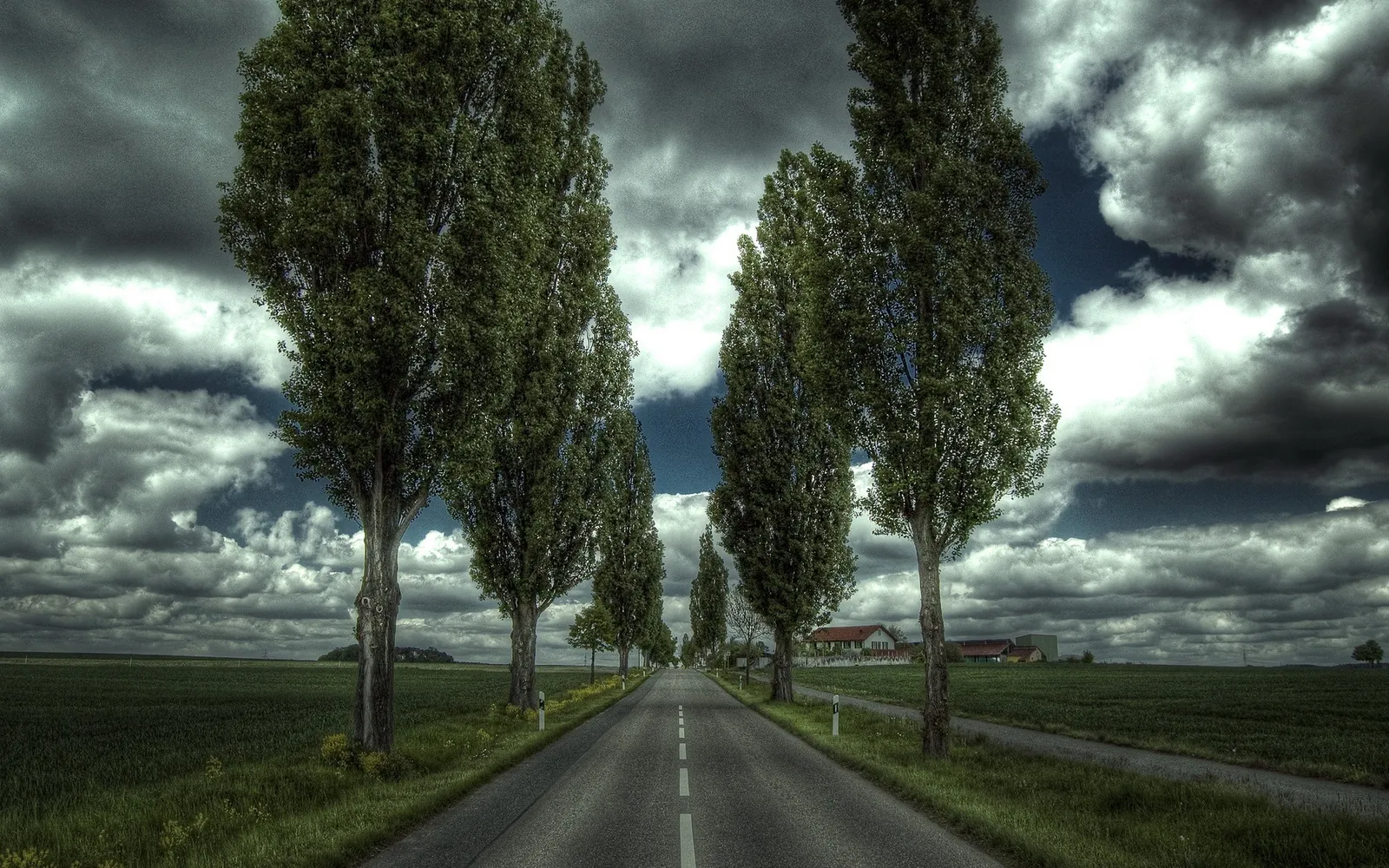 A road lined with tall, mature trees creates a natural tunnel effect under a dramatic, stormy sky.