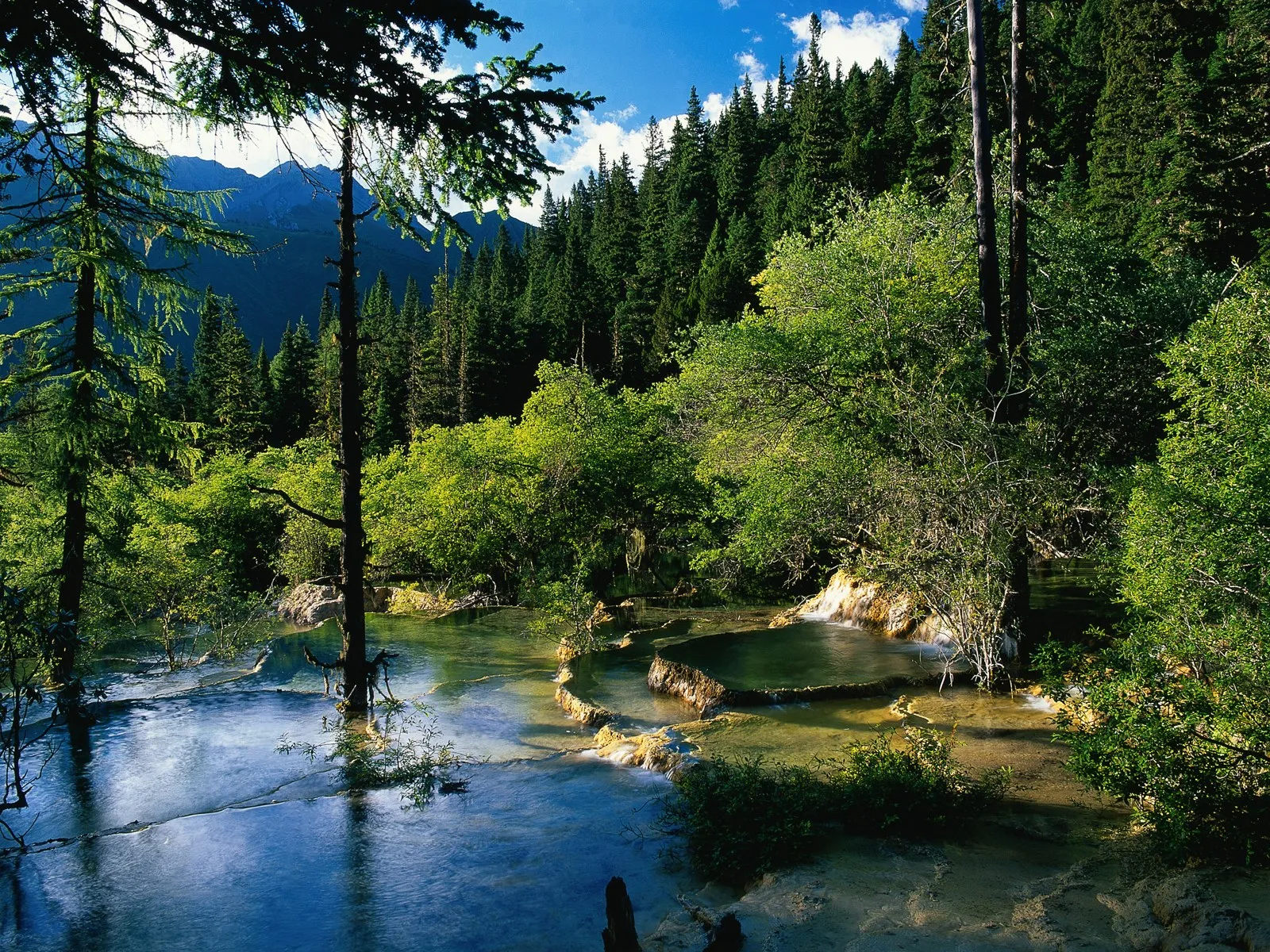 A series of vibrant, multi-tiered pools with clear turquoise water, surrounded by dense green forest and mountains in the background.