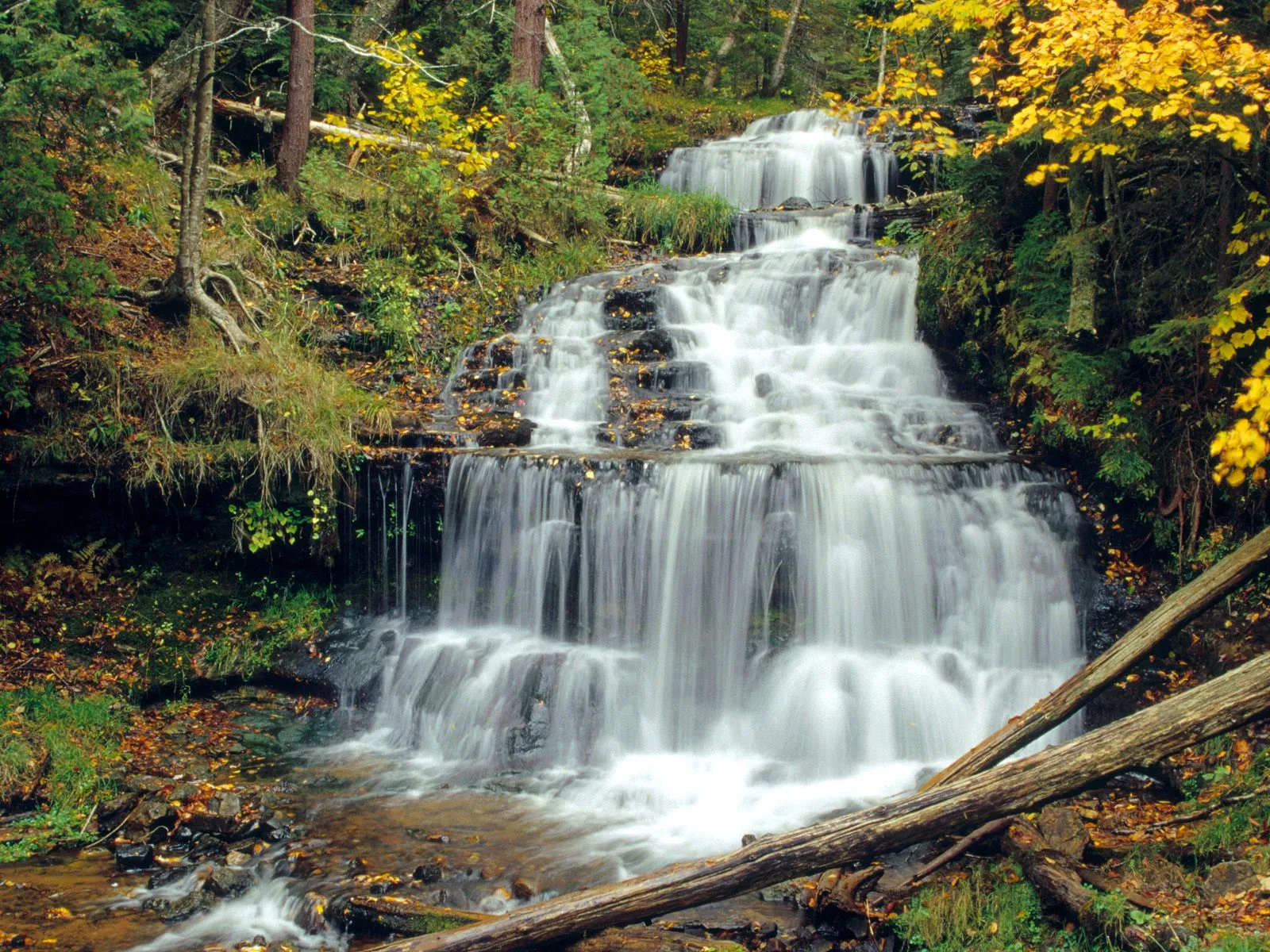 A beautiful tiered waterfall cascades down mossy rocks with yellow and green autumn foliage.