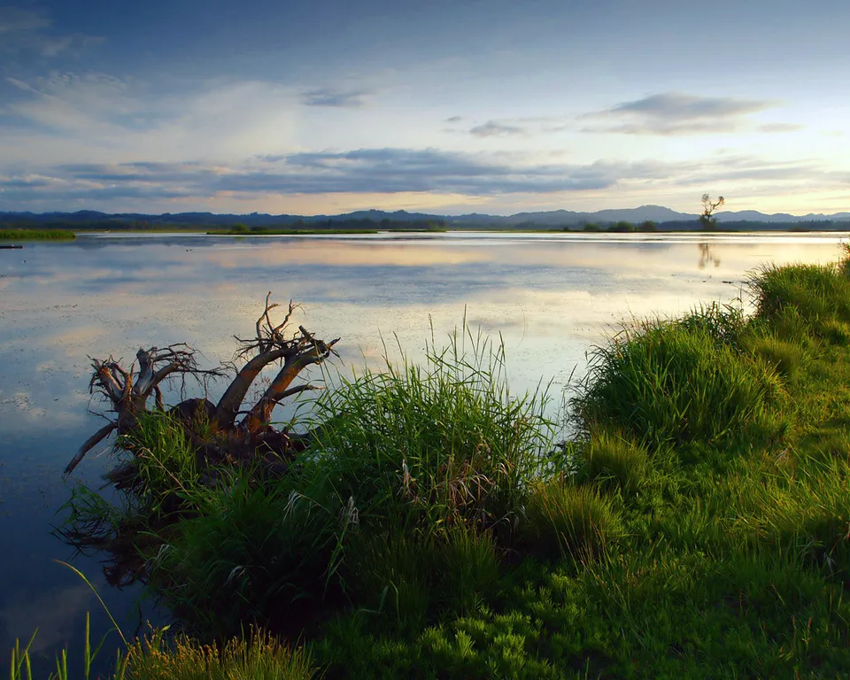 A calm lake reflects the sky, with a gnarled dead tree in the foreground and lush green grass on the right bank.