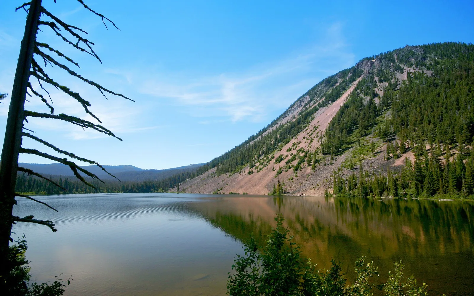 A clear blue sky and a steep, tree-covered mountain slope are reflected in a calm lake.