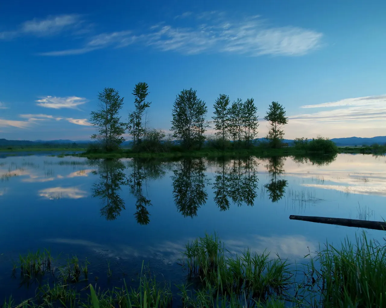 A calm body of water reflects a line of trees and a blue sky with wispy clouds.