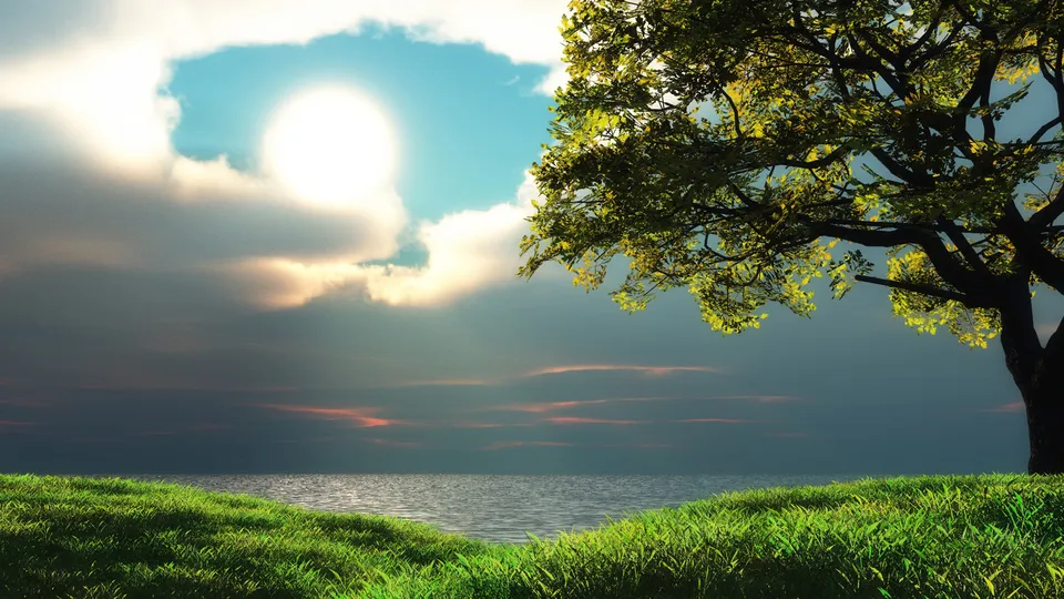 A lone tree with green leaves stands on a grassy hill overlooking the ocean under a bright sun and cloudy sky.