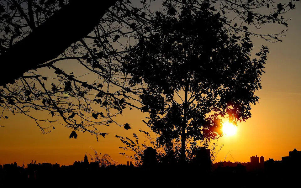 Trees and buildings are silhouetted against a warm orange and yellow sunset sky.