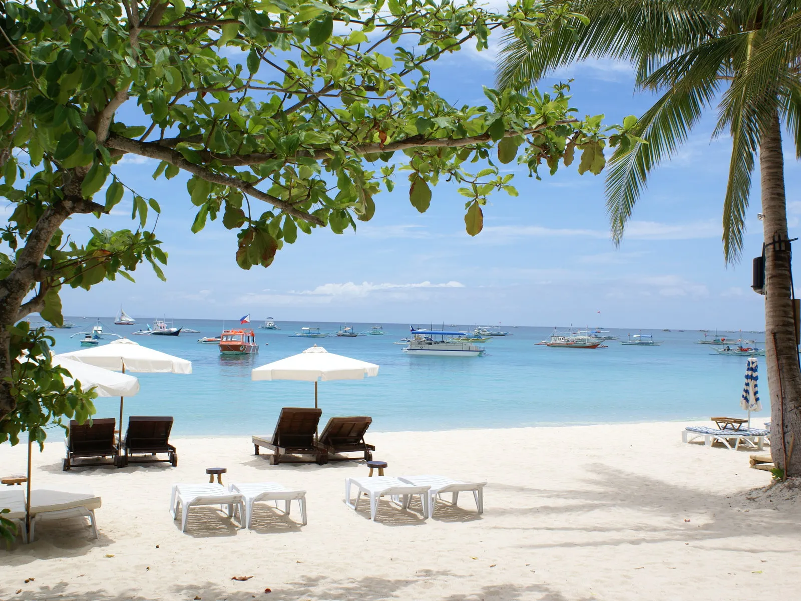 A tropical beach with white sand, lounge chairs, umbrellas, palm trees, and many boats on the turquoise water under a blue sky.