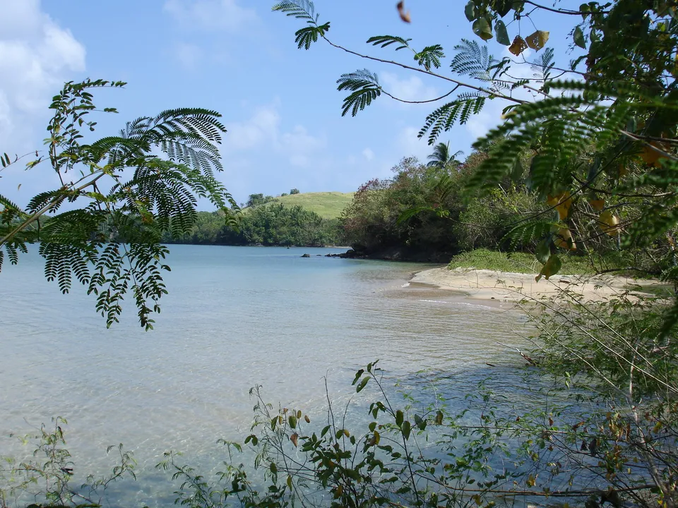 A calm, clear turquoise bay with a sandy beach, framed by lush green trees and foliage.