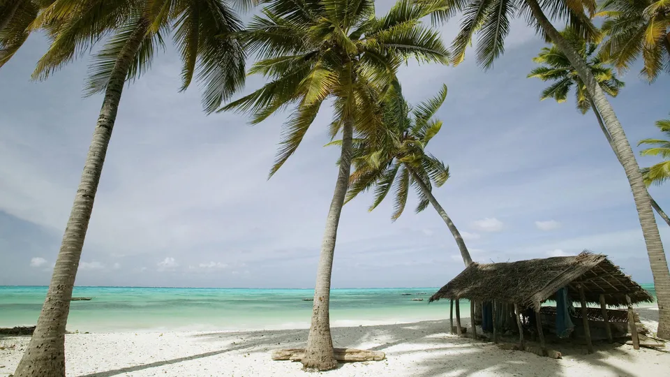 A thatched roof hut sits on a white sand beach under tall palm trees, with turquoise water in the background.