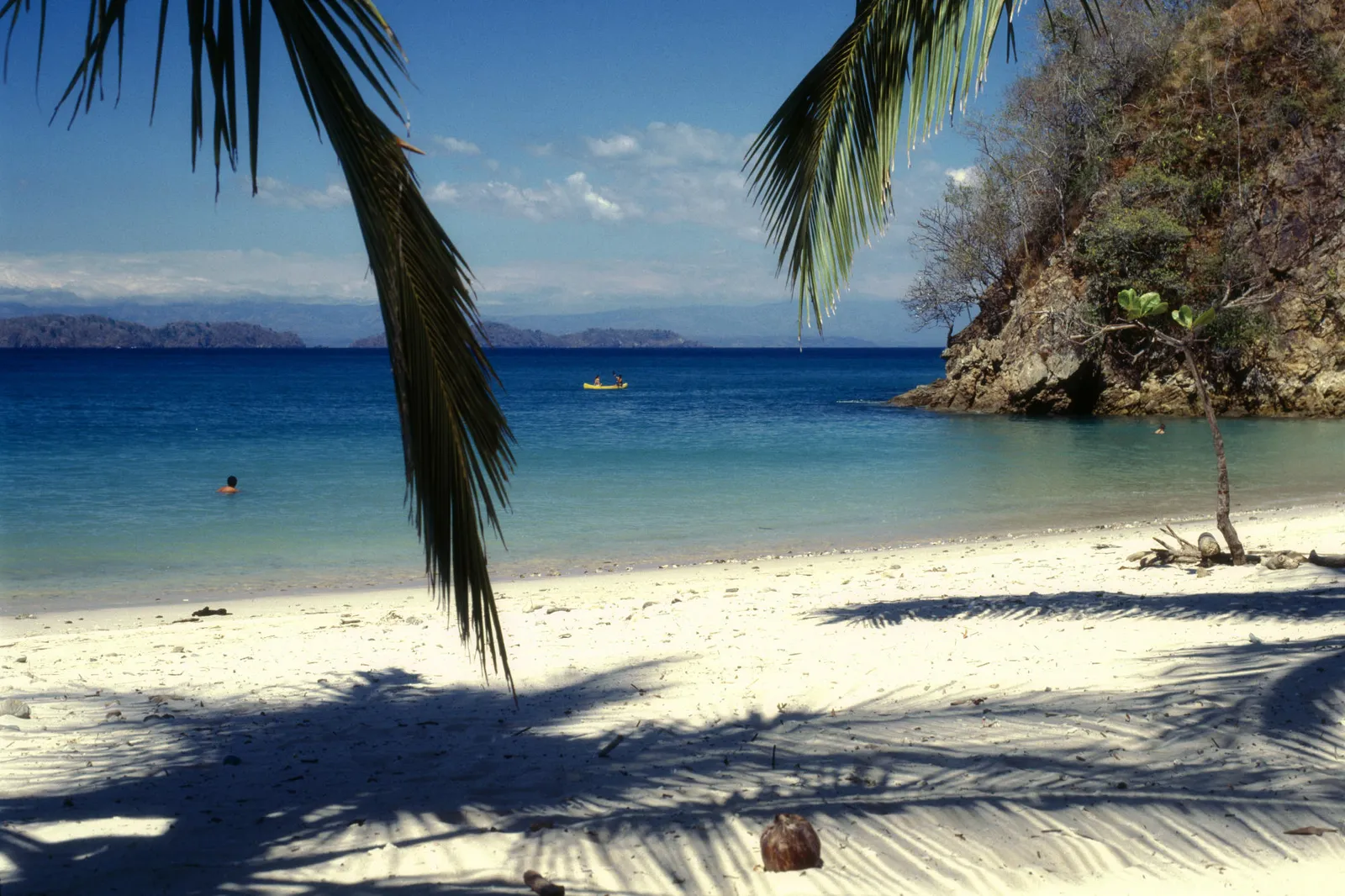 A tropical beach scene with white sand, clear blue water, palm fronds in the foreground, and kayakers in the distance.