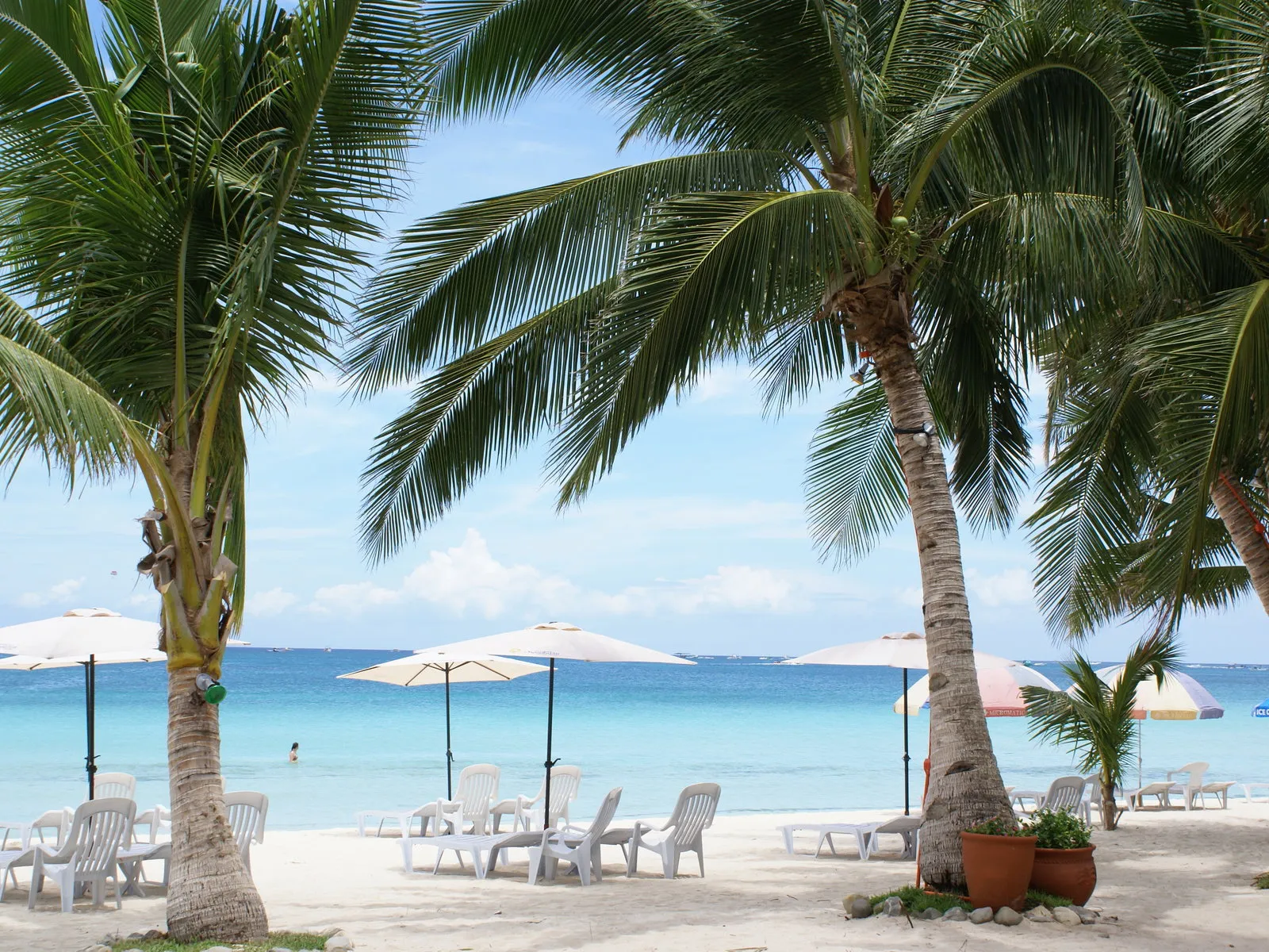 A tropical beach with palm trees, lounge chairs, and umbrellas.