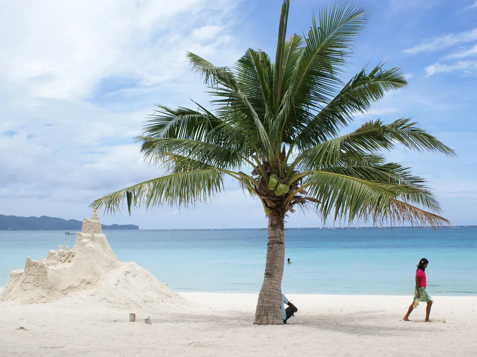 A palm tree stands on a white sand beach next to a sandcastle, with the ocean and sky in the background.