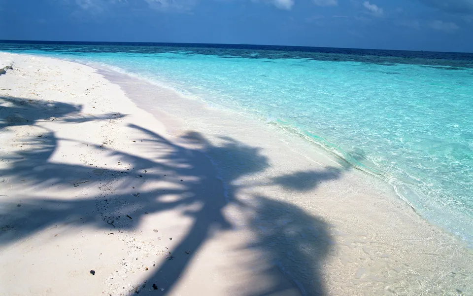 Shadows of palm trees stretch across a white sand beach next to clear turquoise water.