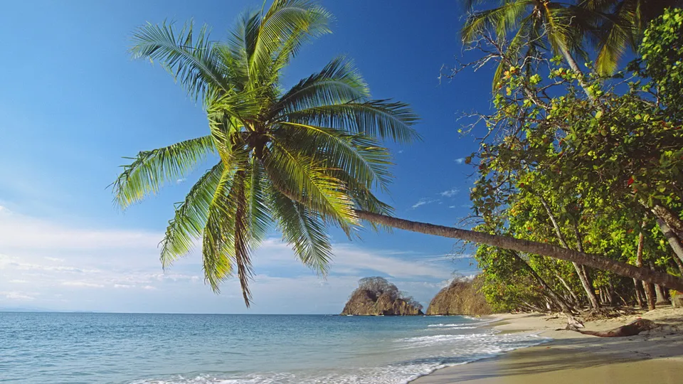 A leaning palm tree frames a view of a sandy beach, gentle waves, and distant rocky islands under a clear blue sky.