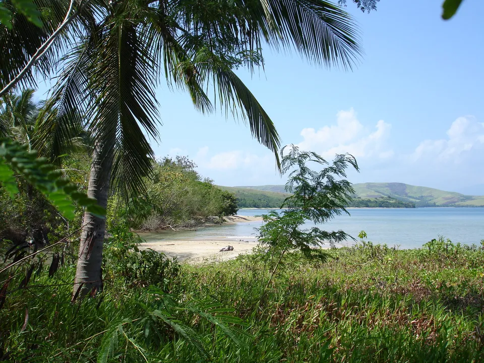 A view of a tropical beach with palm trees in the foreground and rolling green hills in the background.