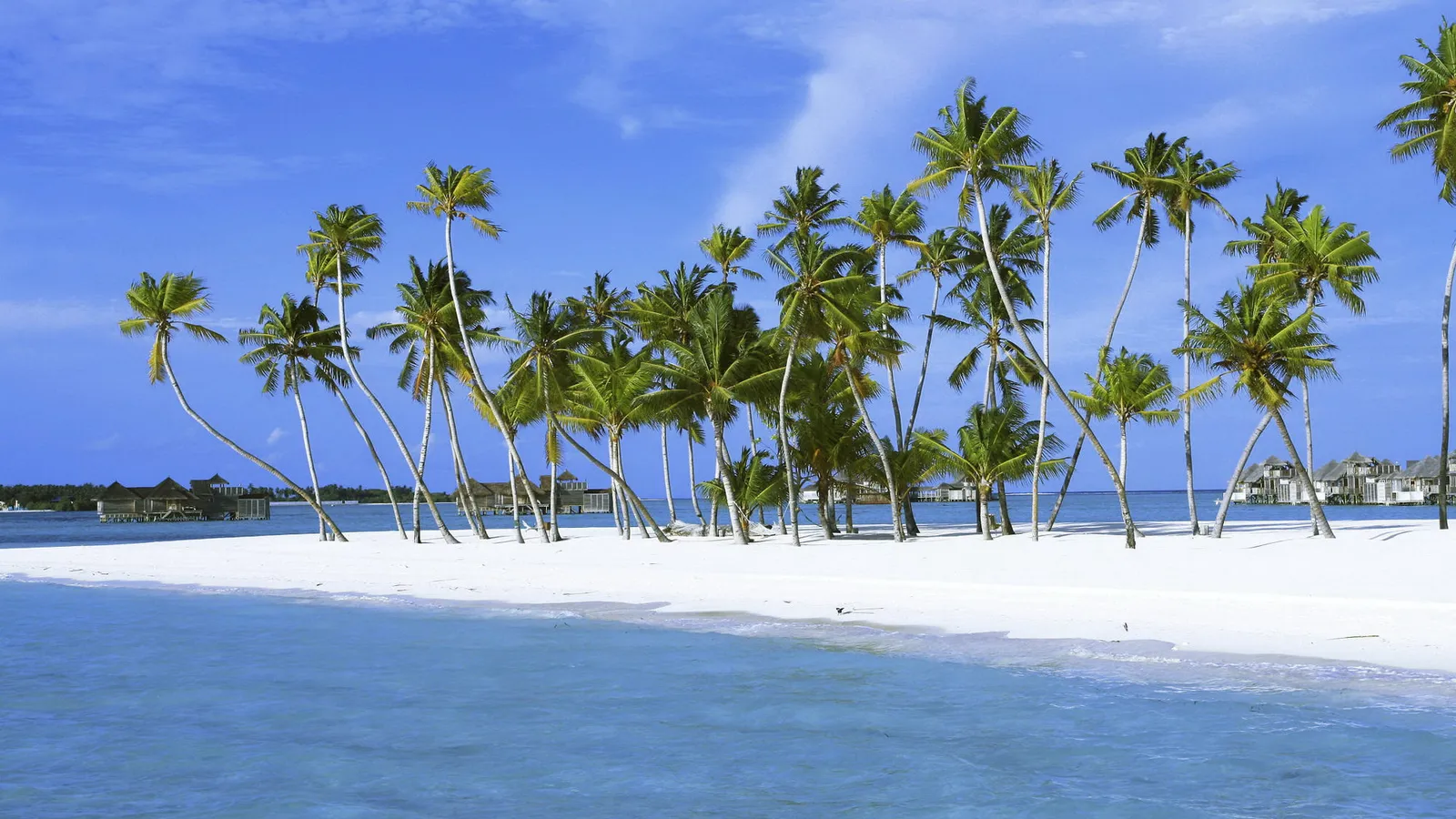A white sand beach lined with palm trees, with blue ocean water and overwater bungalows in the distance under a clear blue sky.